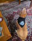 Doggie Bandana
