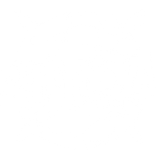 Supernova Ska Festival Logo